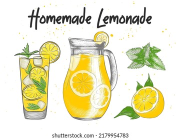 Vector engraved style Lemonade drink, carafe, glass, lemon, mint leaves illustration for posters, decoration, logo and print. Hand drawn sketch, beverage ingredients. Detailed colorful drawing.