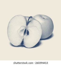 Vector engraved style one color illustration, apple and a half