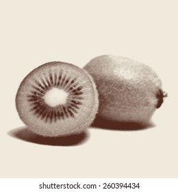 Vector engraved style one color illustration, kiwi