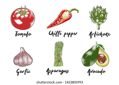 Vector engraved style organic vegetables collection for posters, logo, menu, decoration, packaging. Hand drawn colorful sketches isolated on white background. Detailed vintage woodcut drawing.