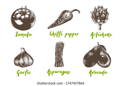 Vektor-graviert Bio-Gemüsesammlung für Poster, Logo, Menü, Dekoration, Verpackung. Handgezeichnete monochrome Skizzen einzeln auf weißem Hintergrund. Detaillierte Vintage-Holzschnitt-Zeichnung.