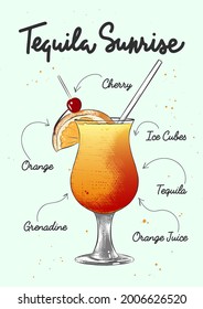 Vector engraved style Tequila Sunrise cocktail illustration for posters, decoration, logo and print. Hand drawn sketch with lettering and recipe, beverage ingredients. Detailed colorful drawing.