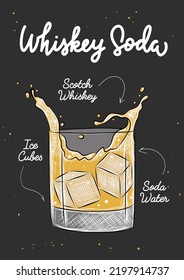 Vector engraved style Whiskey Soda cocktail with ice cubes and splashes illustration for posters, decoration, menu and print. Hand drawn sketch with lettering and recipe, beverage ingredients.