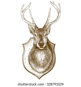 Vector engraving antique illustration of stuffed reindeer head isolated on white background