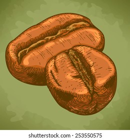 Vector engraving antique illustration of two coffee beans in retro style