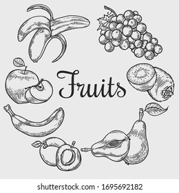 Vector  engraving fruit wreath on white background. Vintage hand drawn illustration for menu, ads