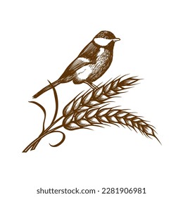 Vector Engraving or Handrawn Illustration of Bird on Wheat Grain on White Background