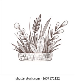 Vector engraving illustration with hand drawn floral  basket, herbs, leaves and branches 
