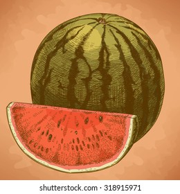 Vector engraving illustration of highly detailed hand drawn watermelon and slice in retro style