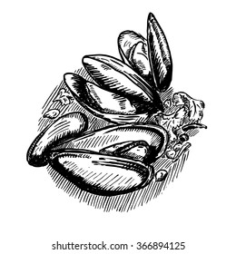 Vector engraving illustration of highly detailed hand drawn mussels isolated on white background