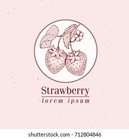 Vector engraving illustration of highly detailed hand drawn strawberry. Retro style