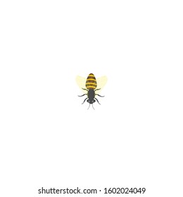 Vector engraving illustration of honey bee on white background