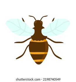 Ilustración de grabado vectorial de abeja miel sobre plano de la mano de fondo blanco