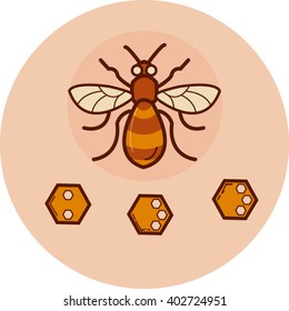 Vector engraving illustration of honey bee . Cartoon cute bee pointing. vector illustration isolated .