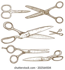 vector engraving illustration of scissors on white background