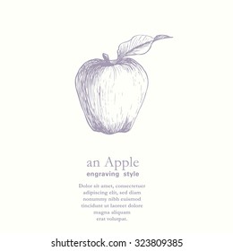 Vector engraving illustration. Vintage hand drawn design with apple.