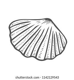 Vector engraving shell isolated on white background