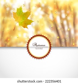 Vector envelope for invitations or congratulations. Autumn composition with maple leaf. Rain drops on glass. Blurred misty background. Place for your text.