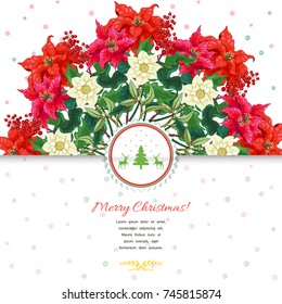 Vector envelope. Round pattern with branches of Christmas star and hellebore flowers. Winter snow ornament on backdrop