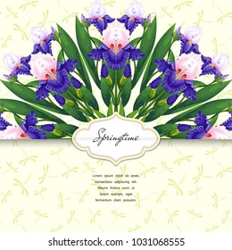 Vector envelope. Round pattern with iris flowers. Dragonflies on backdrop. Place for your text