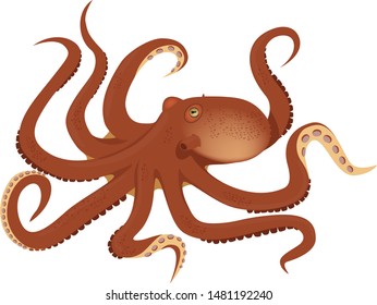 
Vector EPS 10 illustration of sea creature octopus