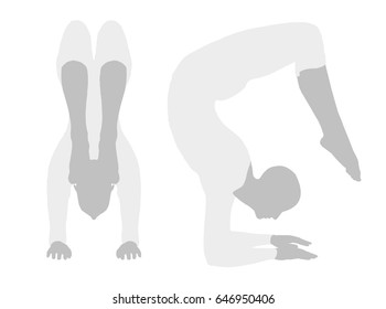 Vector - EPS 10 vector illustration of Yoga Pose