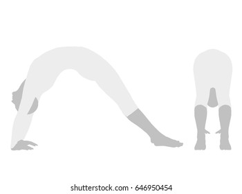 Vector - EPS 10 vector illustration of Yoga Pose