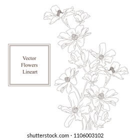 Vector eps 10 isolated echinacea flowers line art illustration. 
