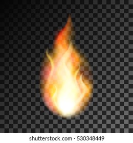 Vector eps 10 isolated transparent effect of realistic flame. Fire illustration, candle light, burning, hot, devouring element, bonfire, twinkle, combustion, torch, match