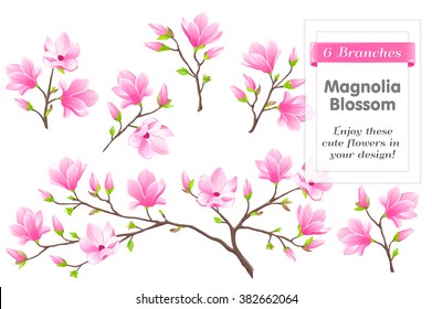 VECTOR eps 10. Pink magnolia Blossom on variety 6 branches. Pink flower isolated flowers on branches for cute design in textile, print, celebration card, wedding. Japanese flower for Apparel