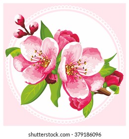 VECTOR eps 10. Sakura blossom, Japanese flowering cherry on branch. Please, look at my Sets, I gathered for you all flowers in 1 place. You'll find a lot of ideas with these sakura. Big jpeg previews.