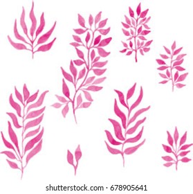 Vector EPS 10. A set of pink watercolor plants.