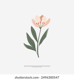 vector EPS design with A hand-drawn style flower asset for graphic design. With delicate lines and intricate details, it adds a touch of nature to logos, invitations, and print materials.