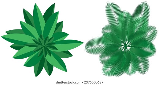 Vector EPS. Drawing from the program. High angle view. Two types of big leafy trees and green palm trees.