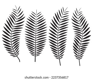 Vector EPS. Set of black palm leaves. white background. Shrub silhouette pattern