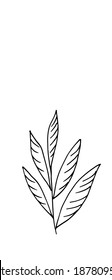 Vector EPS10. Hand drawn vector illustration with plant in doodle style outline drawing isolated on white background (herb, grass, weed). Vector EPS10