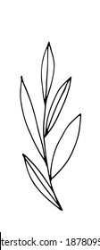 Vector EPS10. Hand drawn vector illustration with plant in doodle style outline drawing isolated on white background (herb, grass, weed). Vector EPS10