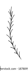 Vector EPS10. Hand drawn vector illustration with plant in doodle style outline drawing isolated on white background (herb, grass, weed). Vector EPS10