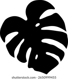 Silhueta exótica preta da folha do monstera deliciosa, capturando a flora tropical negrito com suas fenestrações icônicas