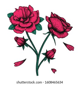 8,960 Rose etching Images, Stock Photos & Vectors | Shutterstock