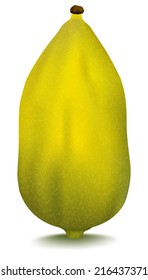 Vector etrog - esrog, citron or Citrus used by Jews on the holiday of Sukkot. 