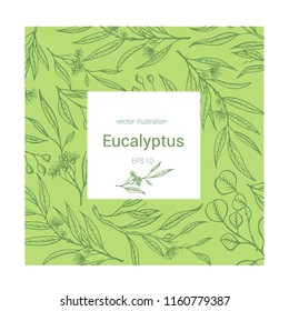 Vector eucalyptus hand drawn illustration.Hand drawn eucalyptus frame.Healing and cosmetics herb.Medical plant. Great for traditional medicine design. Great design for natural and organic products.