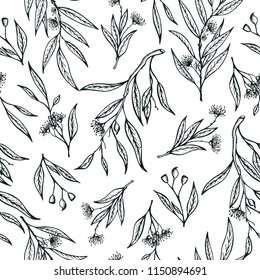 Vector eucalyptus hand drawn illustration.Seamless pattern with flowers.Healing and cosmetics herb.Medical plant. Great for traditional medicine design. Great design for natural and organic