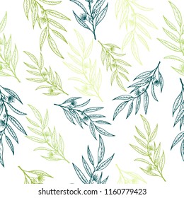 Vector eucalyptus hand drawn illustration.Seamless pattern with eucalyptus flowers.Healing and cosmetics herb.Medical plant. Great for traditional medicine design. 