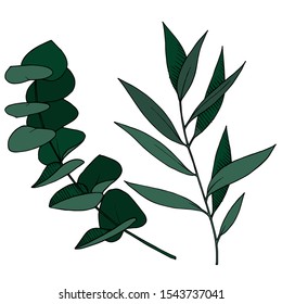Vector Eucalyptus leaves branch. Exotic tropical hawaiian summer. Leaf plant botanical floral foliage. Black and white engraved ink art. Isolated branches illustration element.