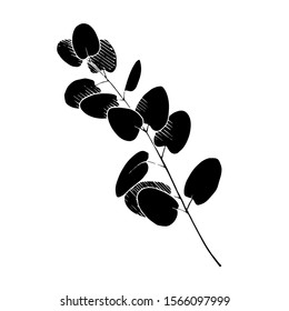 Vector Eucalyptus leaves branch. Exotic tropical hawaiian summer. Leaf plant botanical floral foliage. Black and white engraved ink art. Isolated branches illustration element.