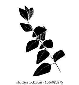 Vector Eucalyptus leaves branch. Exotic tropical hawaiian summer. Leaf plant botanical floral foliage. Black and white engraved ink art. Isolated branches illustration element.