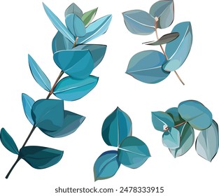 Vector de hojas de eucalipto. Plantas brillantes y realistas