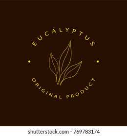 Vector eucalyptus logo design templates and emblem. Beauty and cosmetics oils - eucalyptus. Natural eucalyptus. Logo in linear style