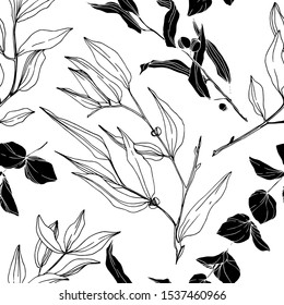 Vector Eucalyptus tree leaves jungle botanical. Black and white engraved ink art. Seamless background pattern. Fabric wallpaper print texture.